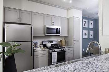 Contemporary black & stainless steel appliances